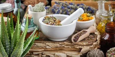 گیاه آلوئه ورا در طب سنتی