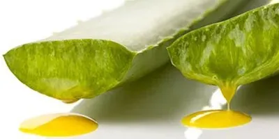 لاتکس آلوئه ورا چیست